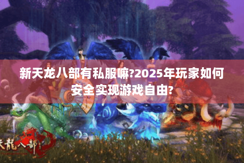 新天龙八部有私服嘛?2025年玩家如何安全实现游戏自由?