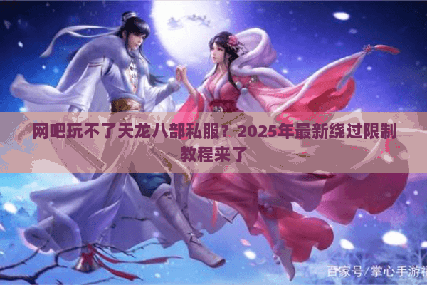 网吧玩不了天龙八部私服？2025年最新绕过限制教程来了