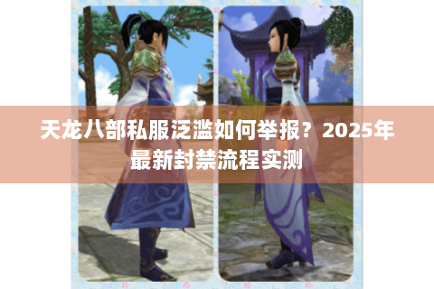 天龙八部私服泛滥如何举报？2025年最新封禁流程实测