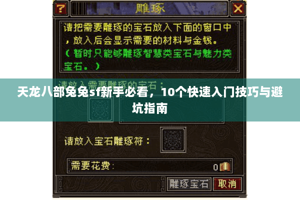 天龙八部兔兔sf新手必看，10个快速入门技巧与避坑指南