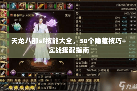 天龙八部sf技能大全，30个隐藏技巧+实战搭配指南
