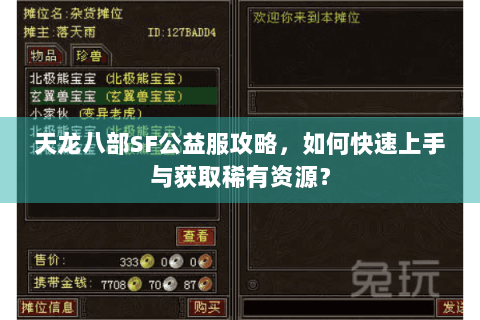 天龙八部SF公益服攻略,如何快速上手与获取稀有资源? 天龙八部SF公益服攻略,如何快速上手与获取稀有资源?