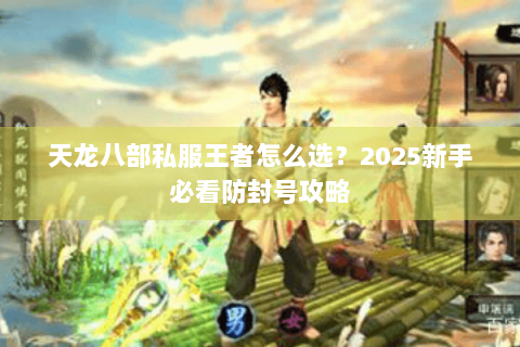 天龙八部私服王者怎么选?2025新手必看防封号攻略 天龙八部私服王者怎么选?2025新手必看防封号攻略