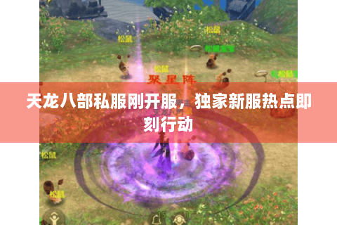 天龙八部私服刚开服,独家新服热点即刻行动 天龙八部私服刚开服,独家新服热点即刻行动