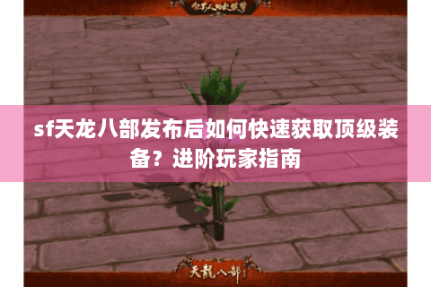 sf天龙八部发布后如何快速获取顶级装备?进阶玩家指南 sf天龙八部发布后如何快速获取顶级装备?进阶玩家指南