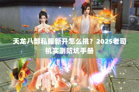 天龙八部私服新开怎么挑?2025老司机实测防坑手册 天龙八部私服新开怎么挑?2025老司机实测防坑手册