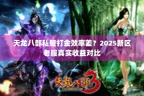天龙八部私服打金效率差？2025新区老服真实收益对比