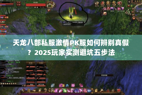 天龙八部私服激情PK服如何辨别真假？2025玩家实测避坑五步法