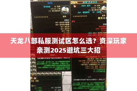 天龙八部私服测试区怎么选?资深玩家亲测2025避坑三大招 天龙八部私服测试区怎么选?资深玩家亲测2025避坑三大招
