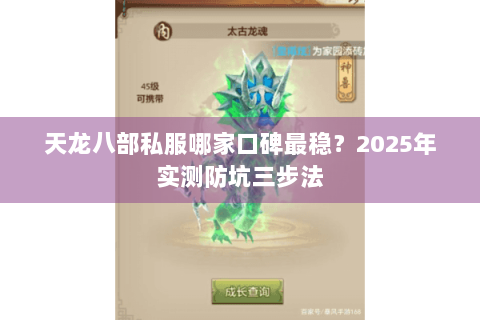 天龙八部私服哪家口碑最稳？2025年实测防坑三步法