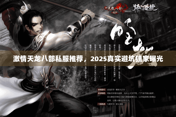 激情天龙八部私服推荐,2025真实避坑独家曝光 激情天龙八部私服推荐,2025真实避坑独家曝光