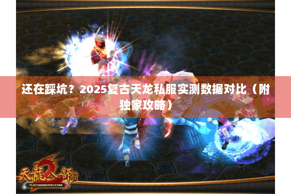 还在踩坑？2025复古天龙私服实测数据对比（附独家攻略）