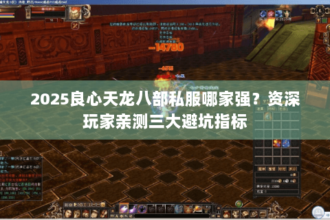 2025良心天龙八部私服哪家强?资深玩家亲测三大避坑指标 2025良心天龙八部私服哪家强?资深玩家亲测三大避坑指标