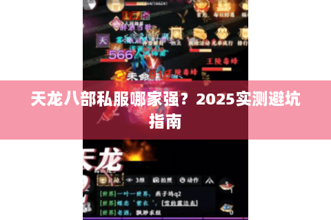 天龙八部私服哪家强？2025实测避坑指南