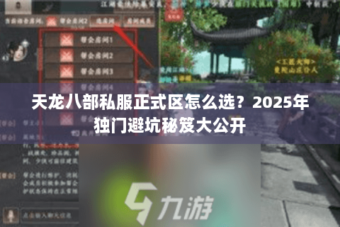 天龙八部私服正式区怎么选？2025年独门避坑秘笈大公开