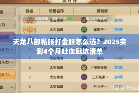 天龙八部私服打金服怎么选?2025实测4个月吐血避坑清单 天龙八部私服打金服怎么选?2025实测4个月吐血避坑清单