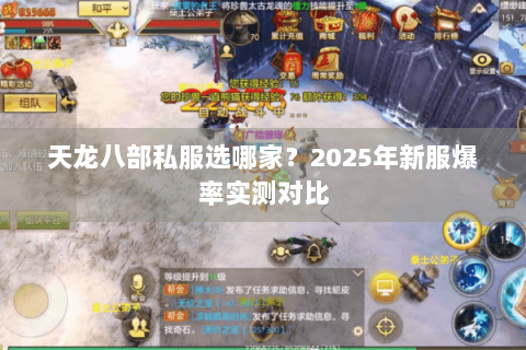 天龙八部私服选哪家？2025年新服爆率实测对比