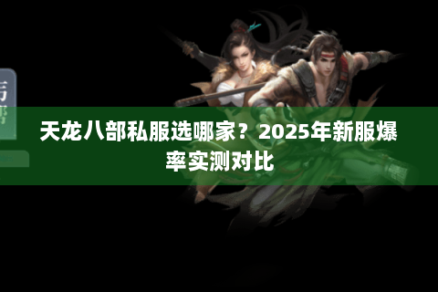 天龙八部私服选哪家？2025年新服爆率实测对比