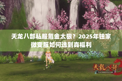 天龙八部私服氪金太狠?2025年独家微变服如何选到真福利 天龙八部私服氪金太狠?2025年独家微变服如何选到真福利