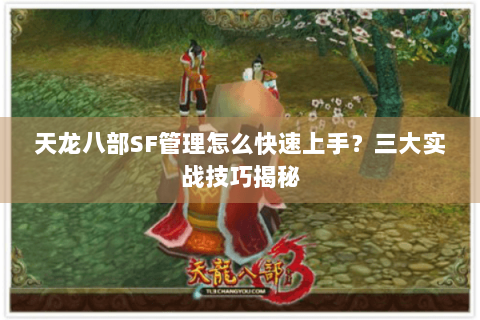 天龙八部SF管理怎么快速上手?三大实战技巧揭秘 天龙八部SF管理怎么快速上手?三大实战技巧揭秘