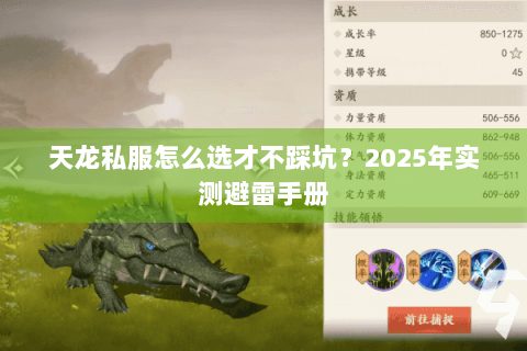 天龙私服怎么选才不踩坑？2025年实测避雷手册