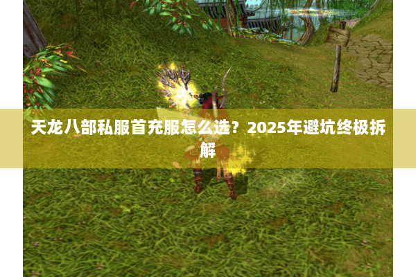 天龙八部私服首充服怎么选?2025年避坑终极拆解 天龙八部私服首充服怎么选?2025年避坑终极拆解