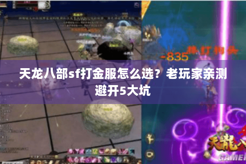 天龙八部sf打金服怎么选?老玩家亲测避开5大坑 天龙八部sf打金服怎么选?老玩家亲测避开5大坑