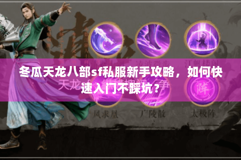 冬瓜天龙八部sf私服新手攻略，如何快速入门不踩坑？