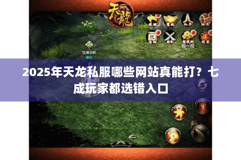 2025年天龙私服哪些网站真能打?七成玩家都选错入口 2025年天龙私服哪些网站真能打?七成玩家都选错入口