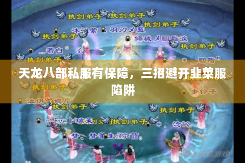天龙八部私服有保障,三招避开韭菜服陷阱 天龙八部私服有保障,三招避开韭菜服陷阱