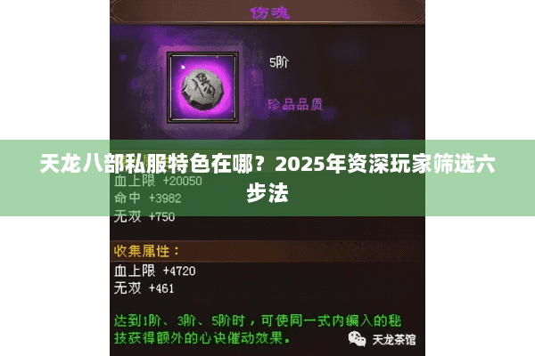 天龙八部私服特色在哪?2025年资深玩家筛选六步法 天龙八部私服特色在哪?2025年资深玩家筛选六步法