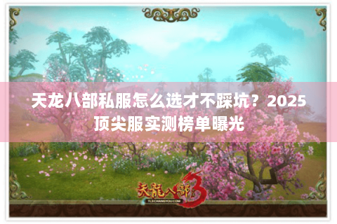 天龙八部私服怎么选才不踩坑?2025顶尖服实测榜单曝光 天龙八部私服怎么选才不踩坑?2025顶尖服实测榜单曝光