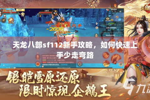 天龙八部sf112新手攻略，如何快速上手少走弯路