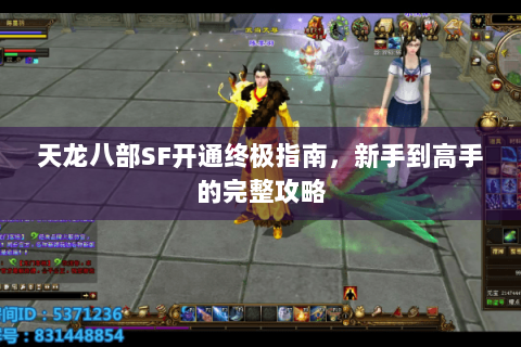 天龙八部SF开通终极指南，新手到高手的完整攻略