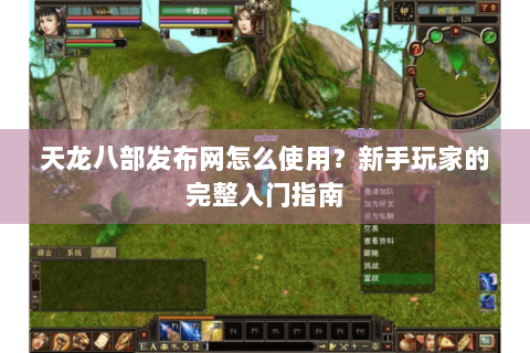 天龙八部发布网怎么使用？新手玩家的完整入门指南