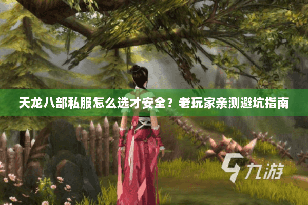 天龙八部私服怎么选才安全？老玩家亲测避坑指南