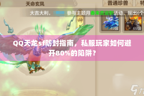 QQ天龙sf防封指南，私服玩家如何避开80%的陷阱？