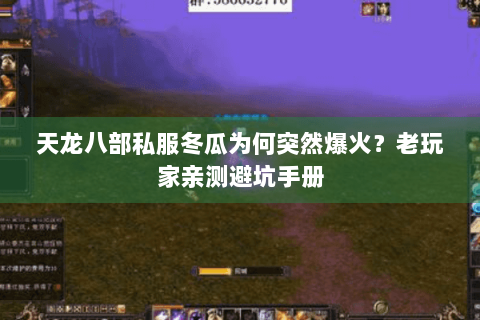 天龙八部私服冬瓜为何突然爆火？老玩家亲测避坑手册