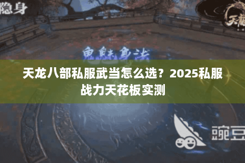 天龙八部私服武当怎么选?2025私服战力天花板实测 天龙八部私服武当怎么选?2025私服战力天花板实测
