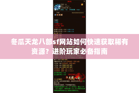 冬瓜天龙八部sf网站如何快速获取稀有资源？进阶玩家必备指南