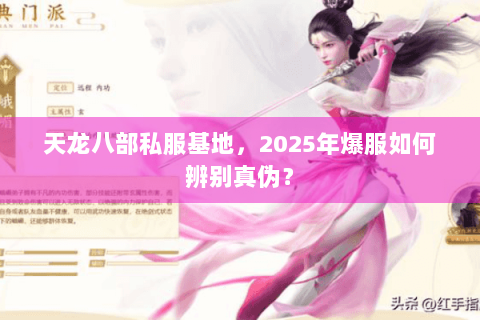 天龙八部私服基地，2025年爆服如何辨别真伪？