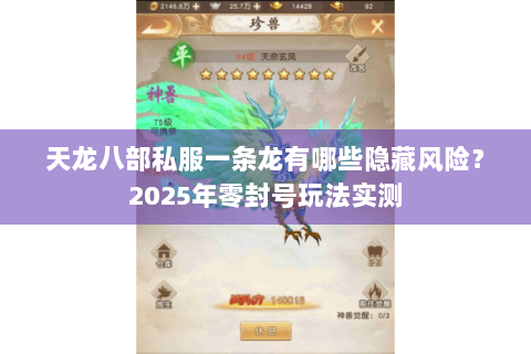 天龙八部私服一条龙有哪些隐藏风险?2025年零封号玩法实测 天龙八部私服一条龙有哪些隐藏风险?2025年零封号玩法实测