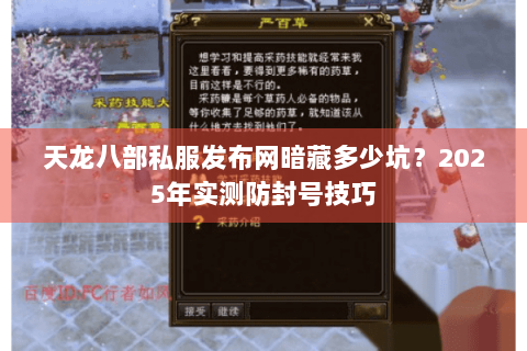 天龙八部私服发布网暗藏多少坑？2025年实测防封号技巧