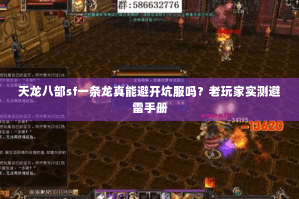 天龙八部sf一条龙真能避开坑服吗?老玩家实测避雷手册 天龙八部sf一条龙真能避开坑服吗?老玩家实测避雷手册