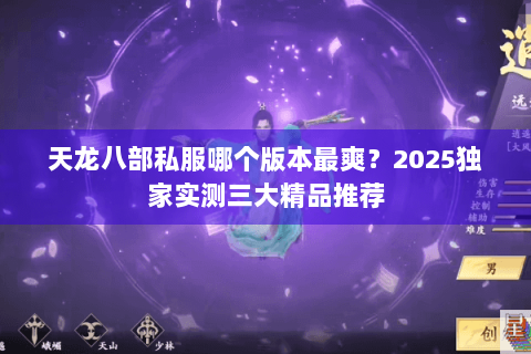 天龙八部私服哪个版本最爽?2025独家实测三大精品推荐 天龙八部私服哪个版本最爽?2025独家实测三大精品推荐