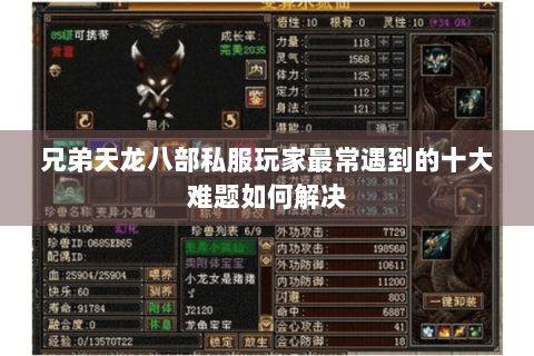 兄弟天龙八部私服玩家最常遇到的十大难题如何解决 兄弟天龙八部私服玩家最常遇到的十大难题如何解决
