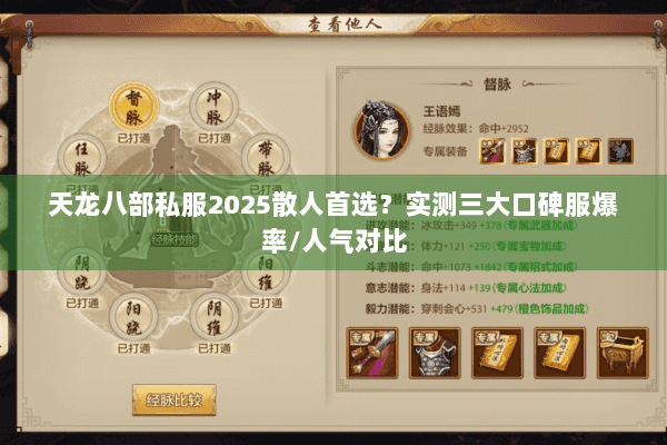 天龙八部私服2025散人首选？实测三大口碑服爆率/人气对比