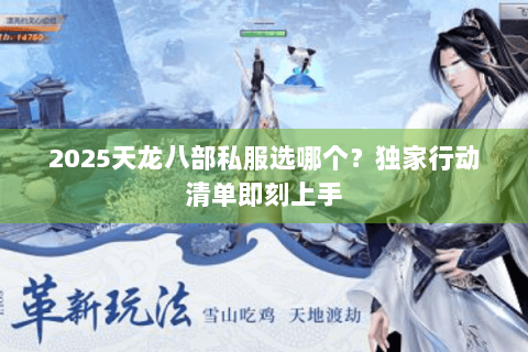 2025天龙八部私服选哪个？独家行动清单即刻上手