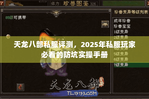 天龙八部私服评测，2025年私服玩家必看的防坑实操手册