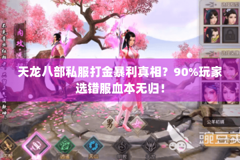 天龙八部私服打金暴利真相?90%玩家选错服血本无归! 天龙八部私服打金暴利真相?90%玩家选错服血本无归!